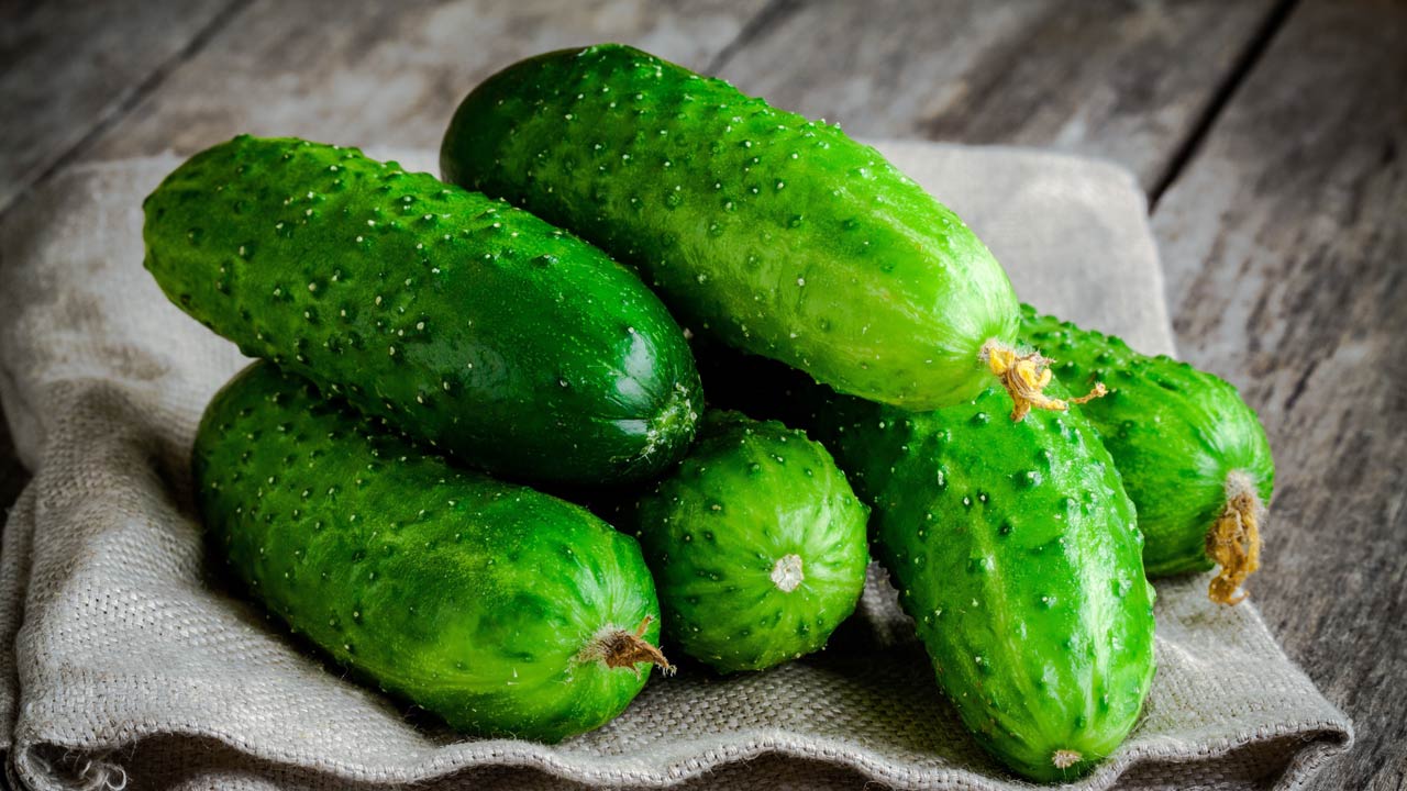 fresh organic cucumbers on sacking